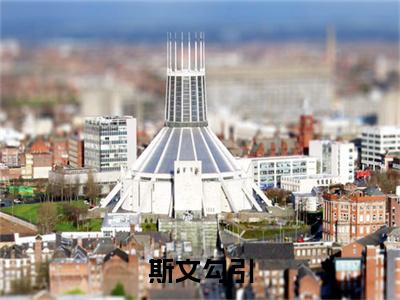 周旻单念斯文勾引完结篇全篇阅读无广告（斯文勾引）番外+续集