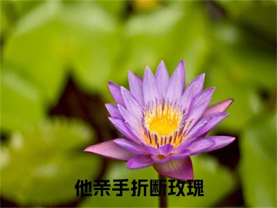 （江屿宁简心）他亲手折断玫瑰江屿宁简心后续一口气无广告全书章节表