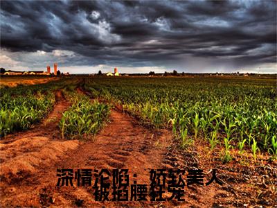 独家沈娇娇沈凌夜小说小说大结局（深情沦陷：娇软美人被掐腰狂宠）全篇在线下载阅读