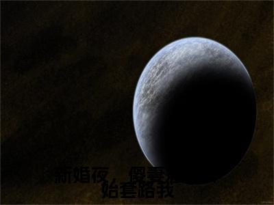沈舒洛小慕附加新婚夜，傻妻忽然开始套路我：结局+番外免费品鉴（沈舒洛小慕）全本浏览阅读连载中