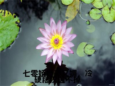 七零娇娇美又媚，冷硬糙汉逃不掉：+后续现已上架+章节前文（纪淮宋安宁）全章无套路在线