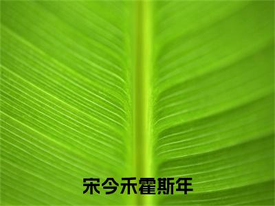 （书荒必看）宋今禾霍斯年小说TXT无套路阅读