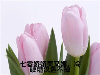 七零娇娇美又媚，冷硬糙汉逃不掉纪淮宋安宁后续（纪淮宋安宁）全文在线下载在线+纯净版结局