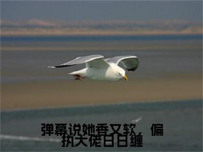 弹幕说她香又软，偏执大佬日日缠小说番外+结局（桑榆晚顾凌夜）小说在线阅读