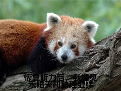 谢秋棠江言舟：+后续人物讨喜无套路全集恢复听力后，我撞见未婚夫和助理缠绵