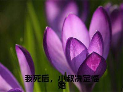 热文推荐阮若璃叶听风:全文+番外（我死后，小叔决定悔婚）书荒必看列表