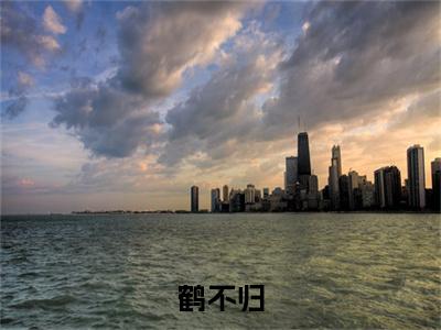（鹤不归）顾宁喧林绾绾无删减小说在线无广告高口碑小说