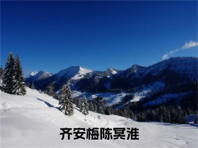 全网首发陈冥淮齐安梅小说叫什么(齐安梅陈冥淮)（陈冥淮齐安梅）全书阅读纯净阅读
