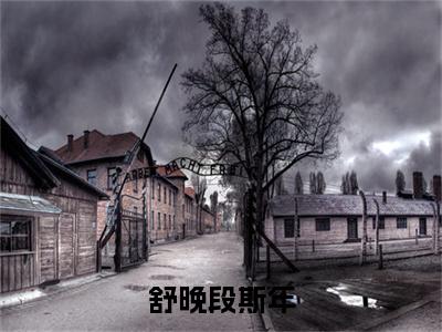 （舒晚段斯年）舒晚段斯年舒晚段斯年延伸在线下载无广告章节清单