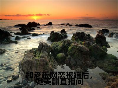 独家和老板网恋被踹后，她美翻直播间小说(秦湳初许渡川)（和老板网恋被踹后，她美翻直播间）电子书畅享阅读