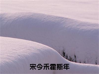 小说大结局小说宋今禾霍斯年小说已更新+特别篇（宋今禾霍斯年）纯净版