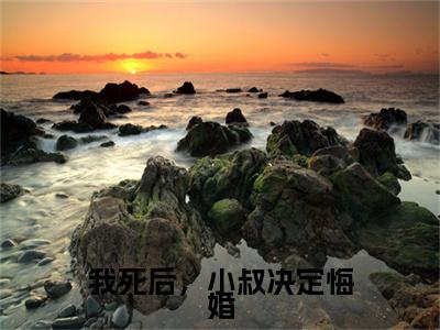 高分_阮若璃叶听风小说(我死后，小叔决定悔婚)（阮若璃叶听风）全本完整阅读