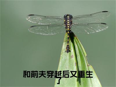 和前夫穿越后又重生了全篇完整在线阅读（挽星阙靖安）热门章节列表