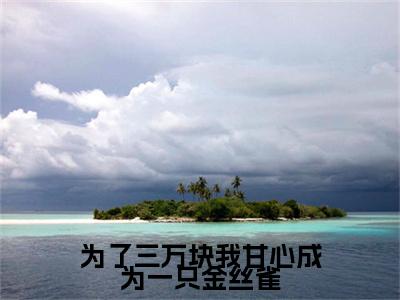 （为了三万块我甘心成为一只金丝雀）为了三万块我甘心成为一只金丝雀小说(傅隽明赵晓菁)小说全集速览无广告高口碑小说