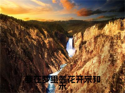 我在梦里等花开宋知禾特别篇章节目录+章节前文（陆子轩宋知禾）TXT清爽版在线
