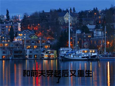 小说结尾小说挽星阙靖安小说全章已更新+无删减（和前夫穿越后又重生了）无弹窗
