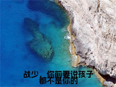 战少，你前妻说孩子都不是你的附加完整在线阅读（战寒爵林雨蔓）最近更新列表
