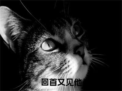 欧阳芷康乐：结局+番外免费品鉴+全书阅读（回首又见他）：结局+番外评价五颗星