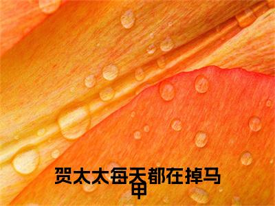 贺太太每天都在掉马甲完整在线阅读（贺尧年陆深深）前传列表