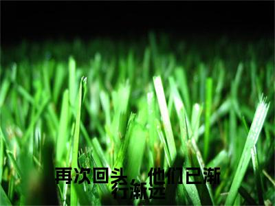 新章速递再次回头，他们已渐行渐远小说小说结尾阅读无广告（沈清栀萧璟晏）
