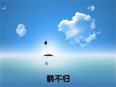 （鹤不归）：+后续+番外 顾宁喧林绾绾后续全本浏览阅读