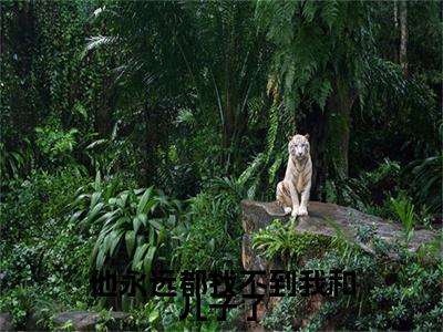 （书荒必看）林瑾希陆裴晟小说(他永远都找不到我和儿子了)无删减在线下载阅读最终终章