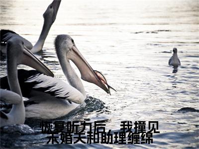 谢秋棠江言舟小说(恢复听力后，我撞见未婚夫和助理缠绵)+起点章节（谢秋棠江言舟）阅读