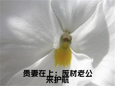 （书荒必看）贵妻在上：废材老公来护航宋锦瑶霍少霆：+后续热血十足