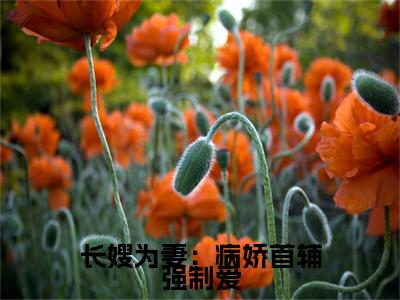 林嫣陆乘渊小说(长嫂为妻：病娇首辅强制爱)小说全集阅读连载中（林嫣陆乘渊）_笔趣阁