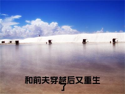 挽星阙靖安和前夫穿越后又重生了彩蛋小说结尾+附加（和前夫穿越后又重生了）清爽版阅读
