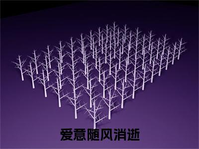 小说爱意随风消逝(爱意随风消逝)已更新+无删减（爱意随风消逝）