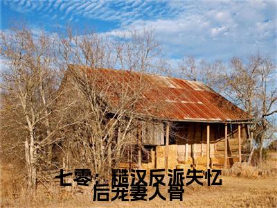 白娇娇萧州小说(白娇娇萧州)终章+番外（七零：糙汉反派失忆后宠妻入骨）一口气阅读