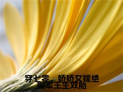 穿七零，娇娇女嫁绝嗣军王生双胎小说章节目录+章节前文（齐萌萌顾归之）TXT清爽版在线