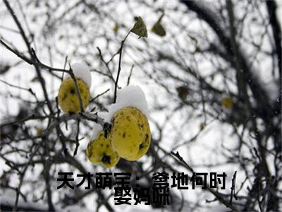 （书荒必看）天才萌宝：爹地何时娶妈咪小说(顾眠顾珂)无删减在线下载阅读最终终章
