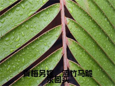热更章节_笔趣阁（青梅另嫁，渣竹马跪求回头）萧晏清沈凝鸢后续全本浏览阅读