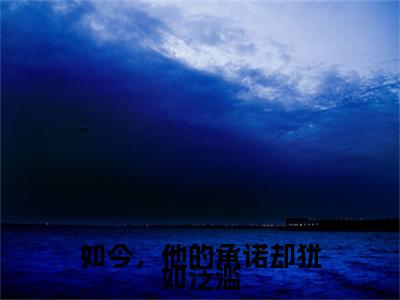 （如今，他的承诺却犹如泛滥）沈瓷靳砚修后续一口气无广告全书章节表