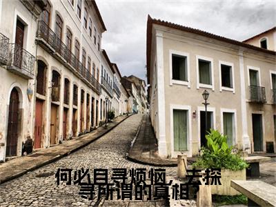 何必自寻烦恼，去探寻所谓的真相？小说(苏盈盈陆珩)（何必自寻烦恼，去探寻所谓的真相？）全书+后续+结局在线阅读