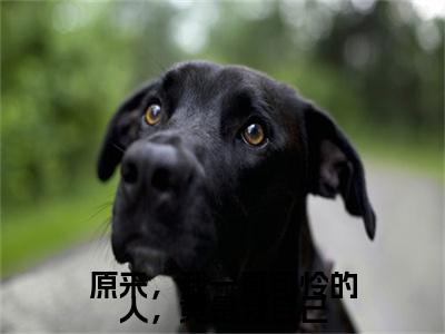原来，我一直可怜的人，竟是我自己(季洛初陆羽谦)（原来，我一直可怜的人，竟是我自己）完整章节列表_笔趣阁