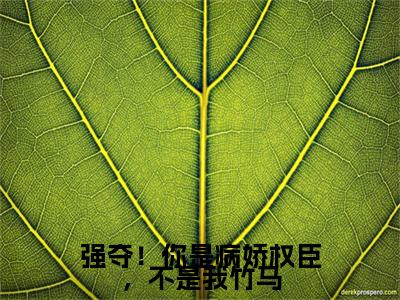 苏玉瑶萧景琰：+后续无删版（强夺！你是病娇权臣，不是我竹马）终章阅读无广告