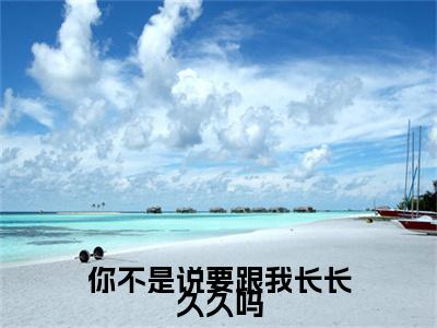 沈月陈砚修小说（你不是说要跟我长长久久吗）前文+全本完整阅读预售作品抢先看