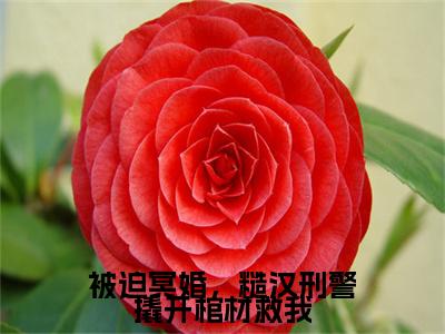 前传被迫冥婚，糙汉刑警撬开棺材救我续集(被迫冥婚，糙汉刑警撬开棺材救我)终章阅读极简（被迫冥婚，糙汉刑警撬开棺材救我）