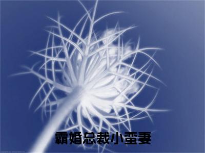 霸婚总裁小蛮妻：结局+番外免费品鉴_起点章节+后续（姜小九徐琛）