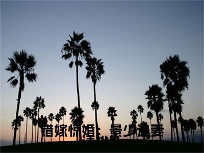 错嫁惊婚：景少追妻请排队小说完结篇(景亦泓阮千雅)（错嫁惊婚：景少追妻请排队）全书无套路阅读无广告小说大结局