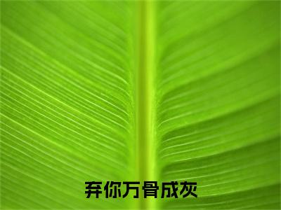 林揽月陆景沉小说（弃你万骨成灰）前传+全书阅读新作预览