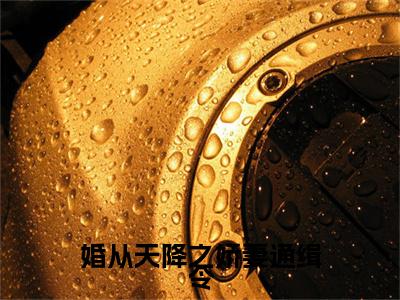 唐靳禹沈星羽（婚从天降之娇妻通缉令）前文+全本完整阅读预售作品抢先看