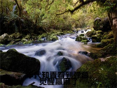 热门章节_笔趣阁（年代知青看到弹幕，觉醒赢麻了）年代知青看到弹幕，觉醒赢麻了小说(温夏暖)章节在线阅读