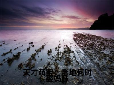 小说结尾小说顾眠顾珂小说全章已更新+无删减（天才萌宝：爹地何时娶妈咪）无弹窗
