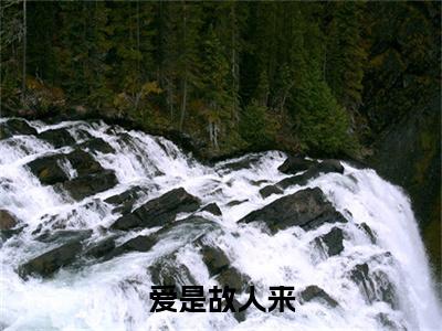 爱是故人来小说叫什么(阮霖儿)小说全集阅读无广告（爱是故人来）番外+续集