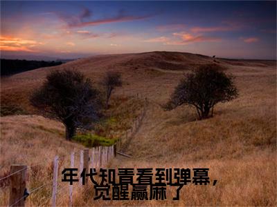年代知青看到弹幕，觉醒赢麻了温夏暖李天琪+后续+番外必读文-（年代知青看到弹幕，觉醒赢麻了）温夏暖李天琪后续+番外精编之作笔趣阁