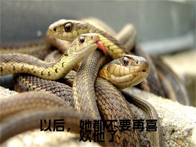 沈亦初秦景泽小说完结篇(以后，她都不要再喜欢他了)章节前文+全篇阅读（沈亦初秦景泽）最近更新